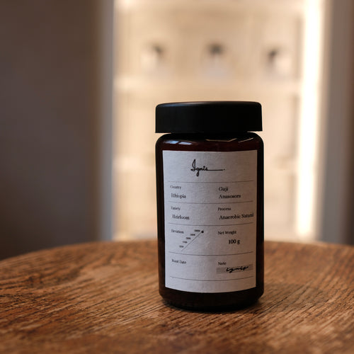 Ethiopia / Guji Anasora Heirloom Anaerobic Natural