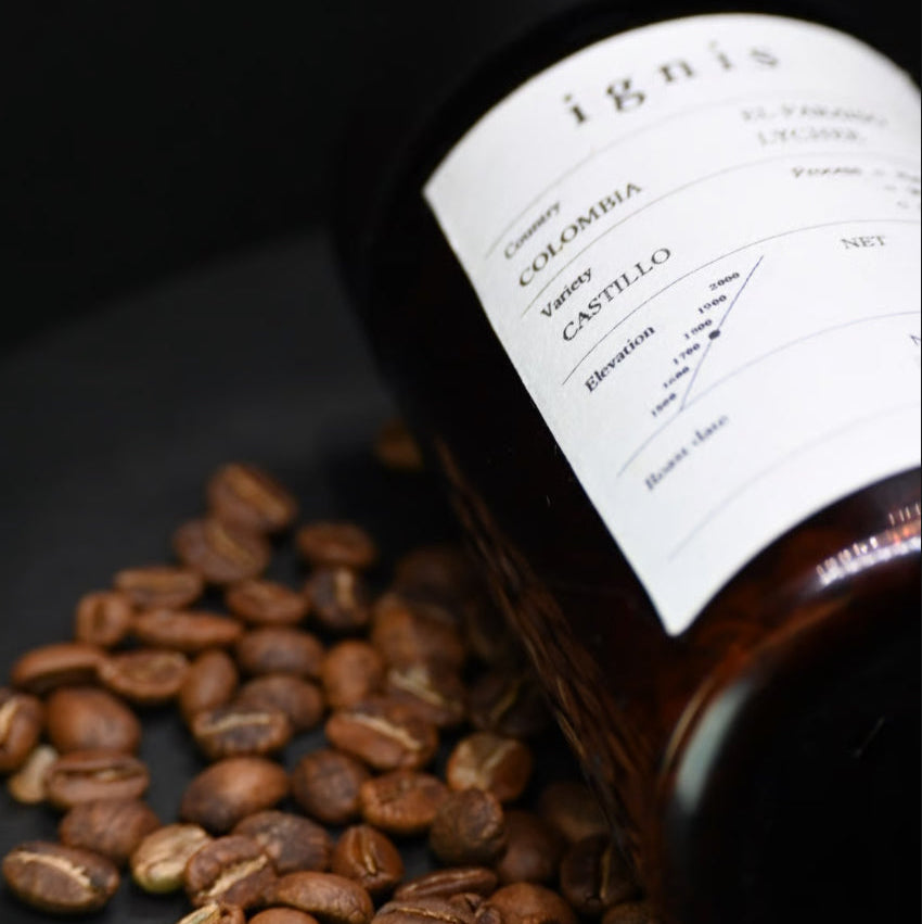 Monthly Subscription